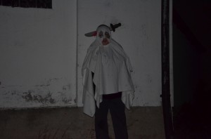 DSC 0381