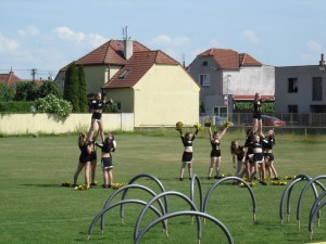 DSC08295                                                   
