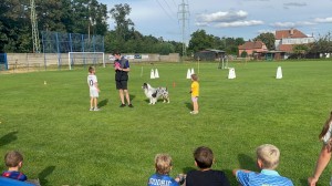 IMG-20250901-WA0009  
